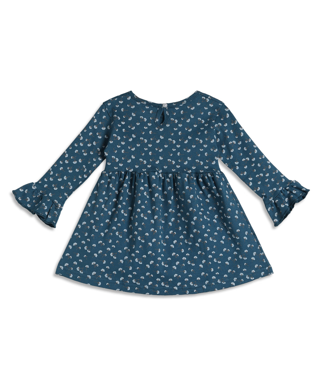 Girls Full Sleeve  Frock