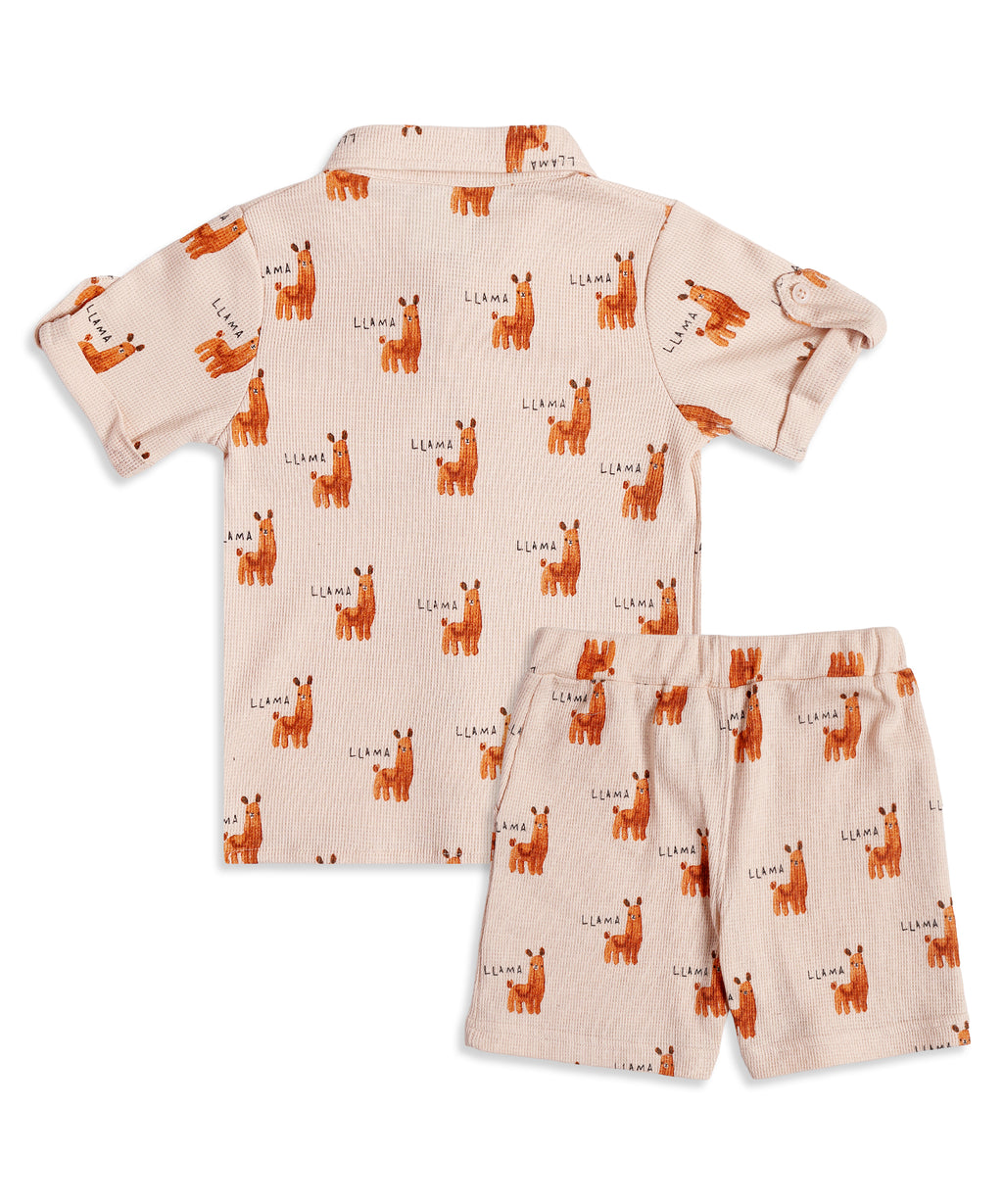 Boys Collar Co-ord Sets