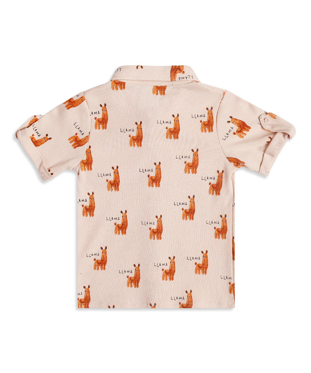 Boys Collar Co-ord Sets