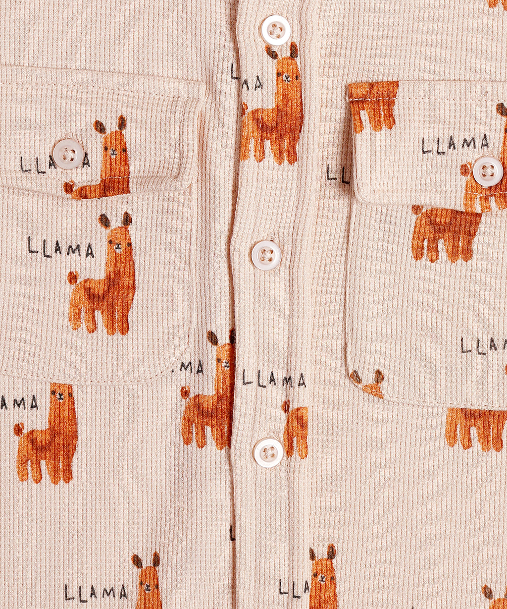 Boys Collar Co-ord Sets