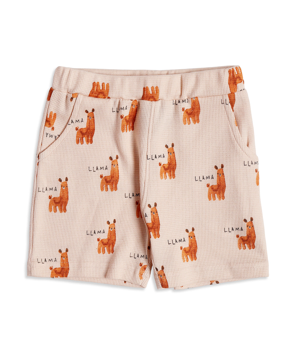 Boys Collar Co-ord Sets