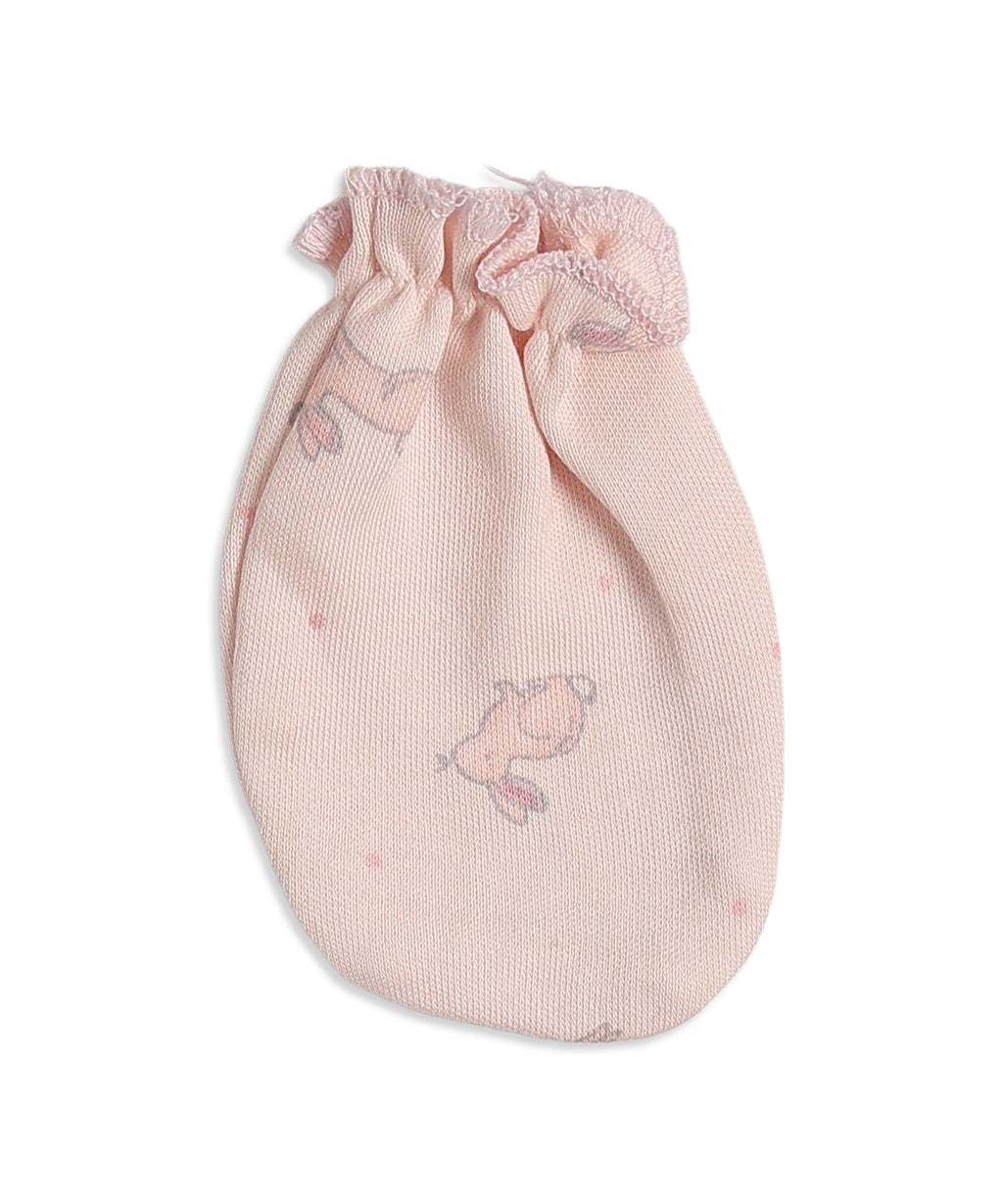 Bunny Bliss Newborn Combo Set
