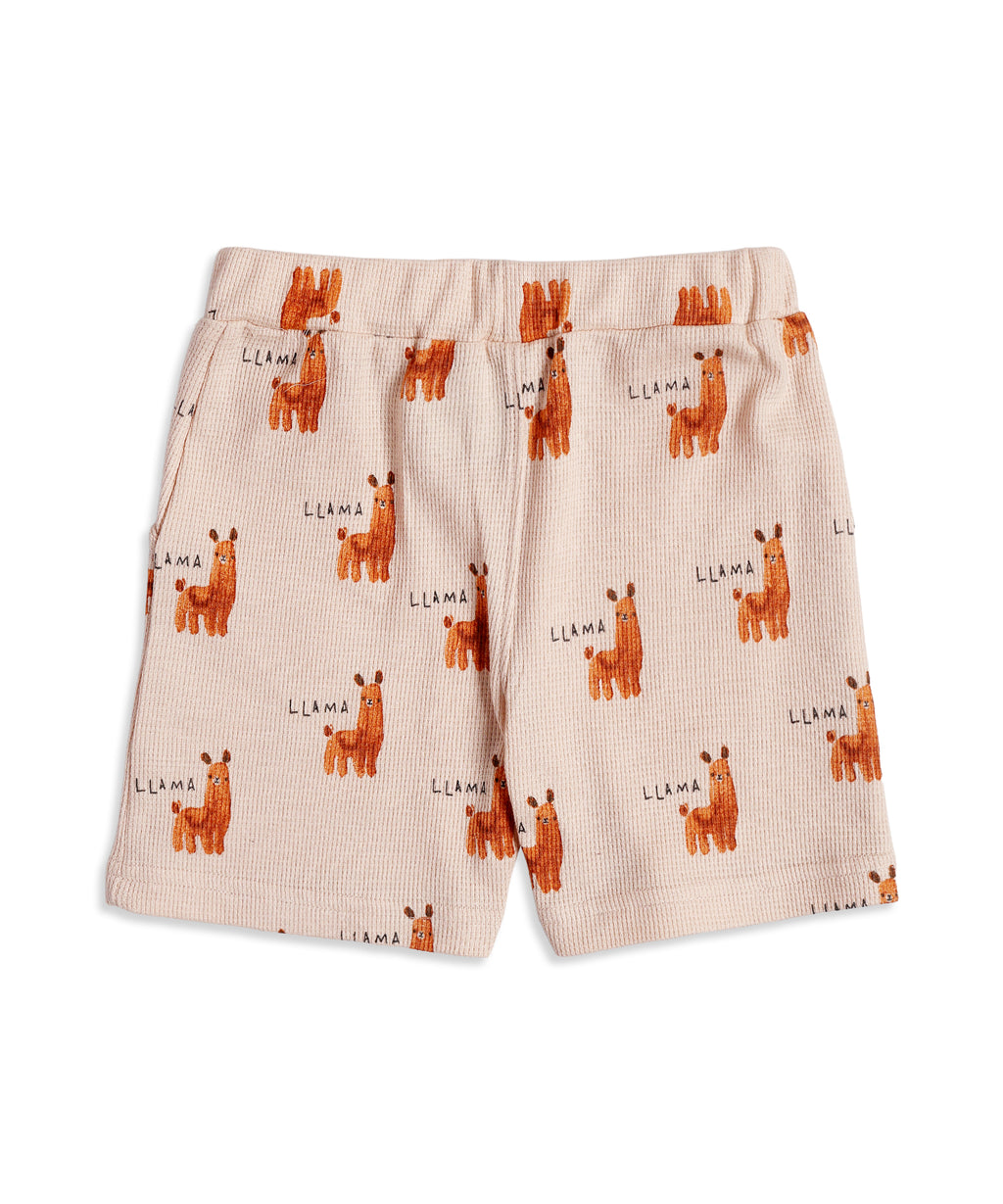 Boys Collar Co-ord Sets