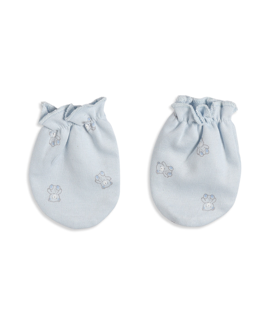 Tiny Teddy Newborn Combo Set