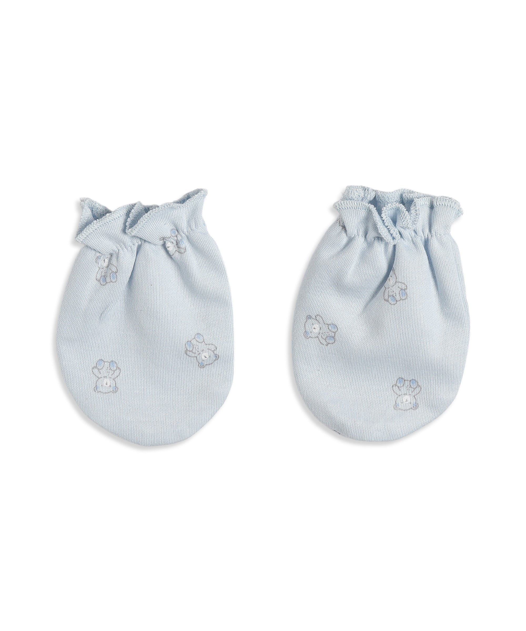 Tiny Teddy Newborn Combo Set