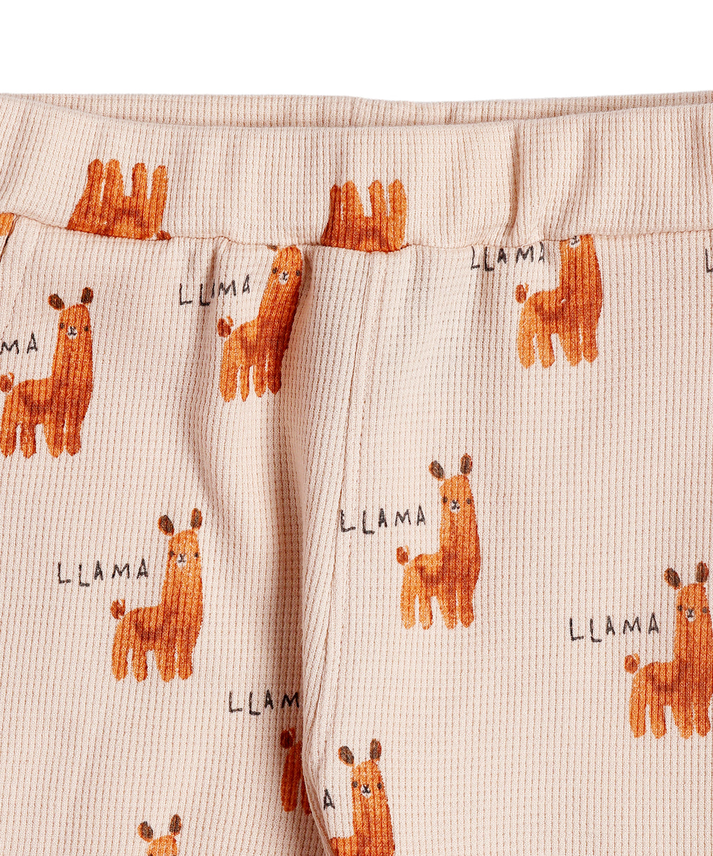 Boys Collar Co-ord Sets