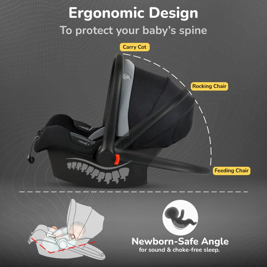 Picaboo Car Seat
